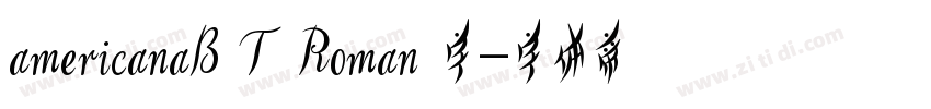 americanaB T Roman 字字体转换